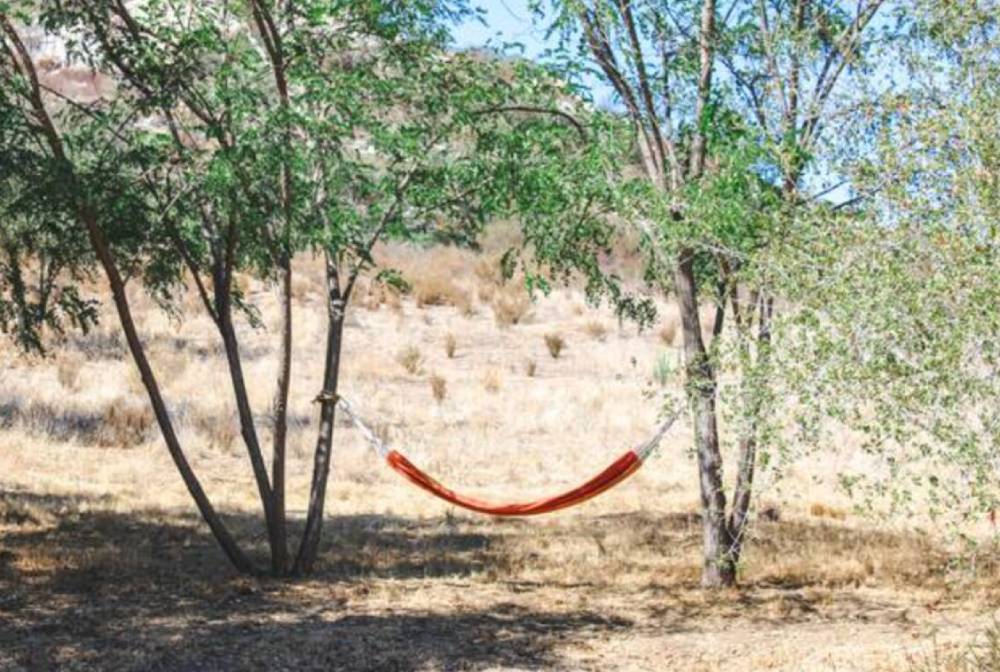 Relax at WestWynd Ranch